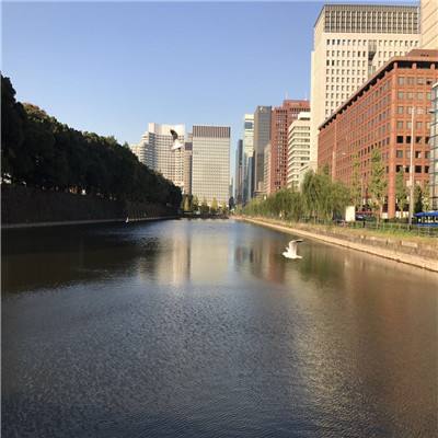 m6米乐官方app下载