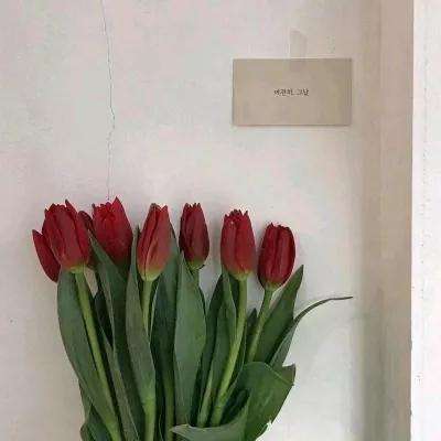 博盈体育软件下载官网截图