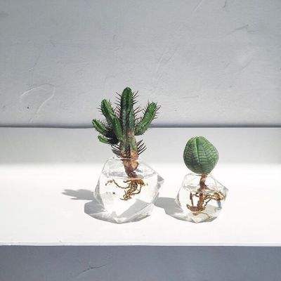 大众彩票入口welcomeapp下载