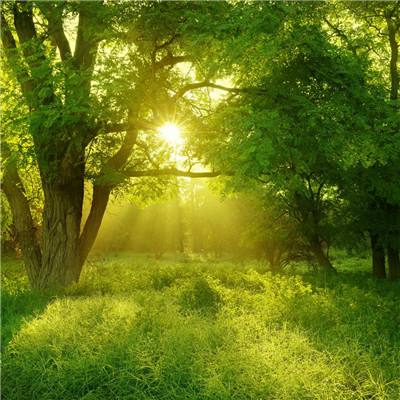 环球体育官方登录入口