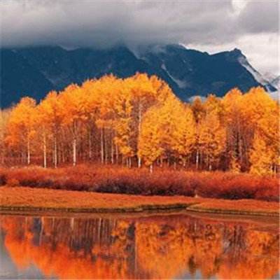 天博体育官方平台入口手机app下载